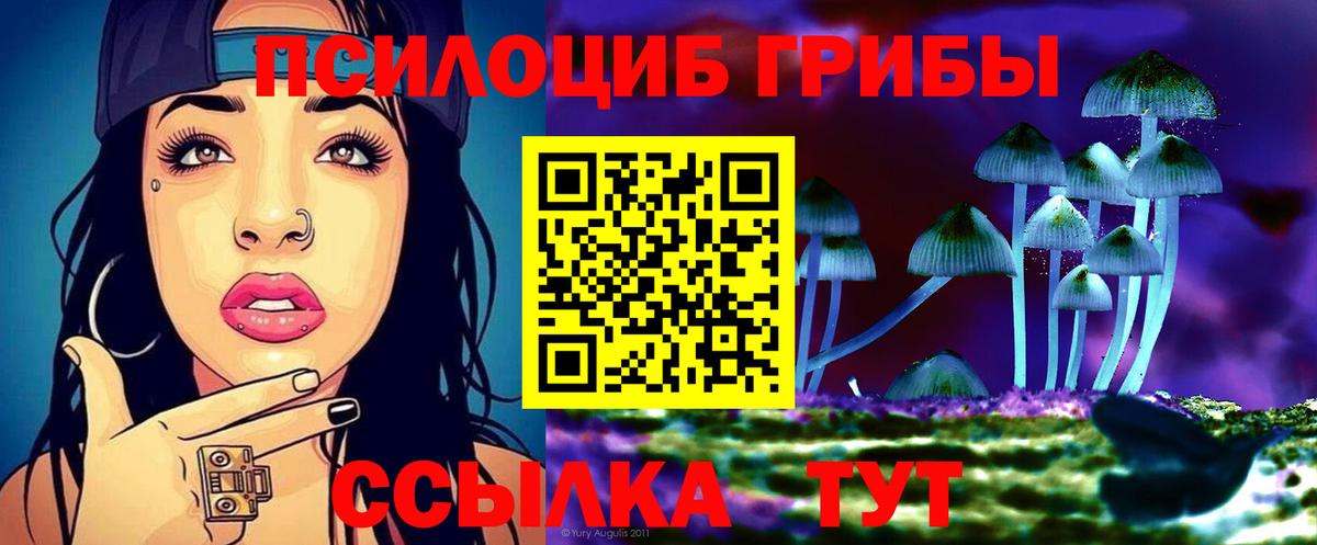 Псилоцибиновые грибы ЛСД Владимир