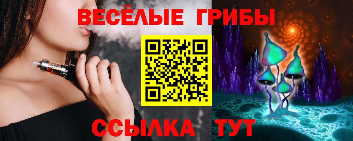 Владимир  Галлюциногенные грибы Psilocybe  цена   Вход с VPN 